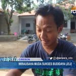 Wirausaha Muda Sukses Budidaya Lele, Nilai Investasi Budidaya Capai Ratusan Juta Rupiah