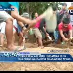 Penggembala Ternak Tersambar Petir, Dua Orang Warga Desa Sinarancang Tewas