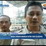 BKSDA Cirebon Amankan Satwa Yang Dilindungi