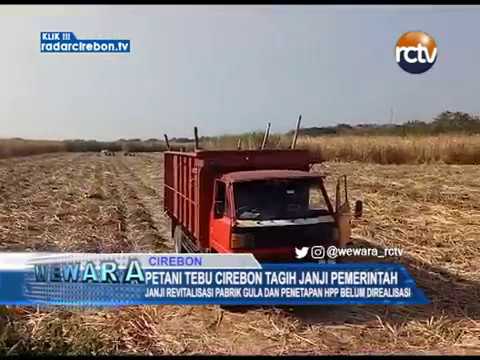 Petani Tebu Cirebon Tagih Janji Pemerintah