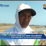 Harga Garam Saat Panen Terus Merosot