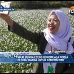 Viral Bunga Eceng Gondok Ala Korea