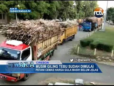 Musim Giling Tebu Sudah Dimulai