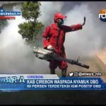 Kab Cirebon Waspada Nyamuk DBD