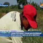 Lahan Pertanian Terancam Kekeringan