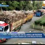 Produksi Tebu Dan Gula Mengalami Penurunan