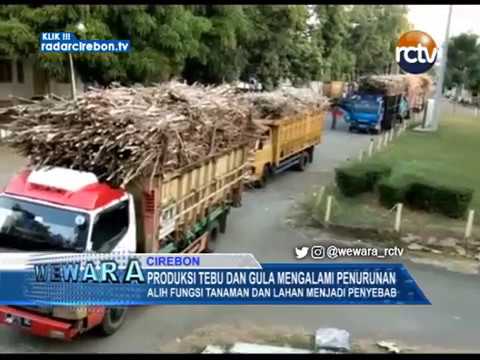 Produksi Tebu Dan Gula Mengalami Penurunan