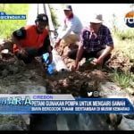 Petani Gunakan Pompa Untuk Mengairi Sawah