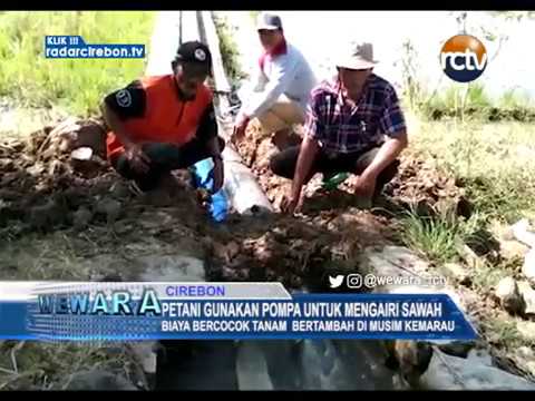 Petani Gunakan Pompa Untuk Mengairi Sawah