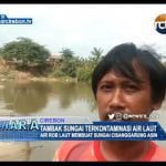 Tambak Sungai Terkontaminasi Air Laut, Air Rob Laut Membuat Sungai Cisanggarung Asin