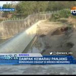 Dampak Kemarau Panjang, Bendung Cisadap Di Brebes Mengering