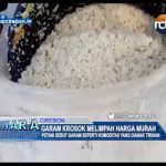 Garam Krosok Melimpah Harga Murah