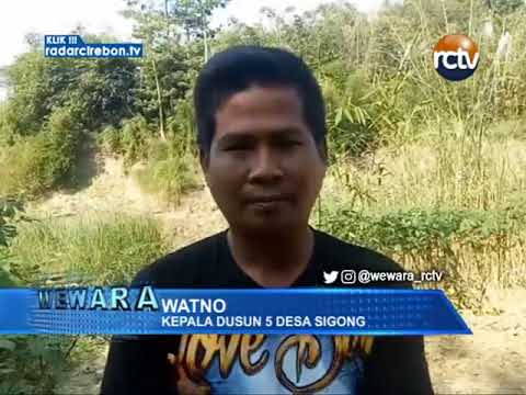 Ratusan Bangkai Ayam Cemari Aliran Sungai Cimanis