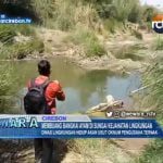 Membuang Bangkai Ayam Di Sungai Kejahatan Lingkungan