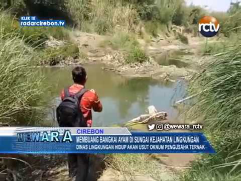 Membuang Bangkai Ayam Di Sungai Kejahatan Lingkungan