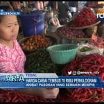 Harga Cabai Tembus 70 Ribu Perkilogram