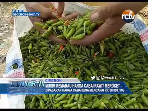 Musim Kemarau Harga Cabai Rawit Meroket