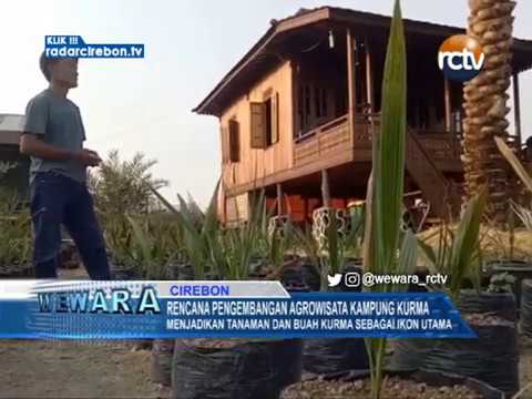 Rencana Pengembangaan Agrowisata Kampung Kurma