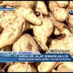 Harga Ubi Jalar Semakin Anjlok