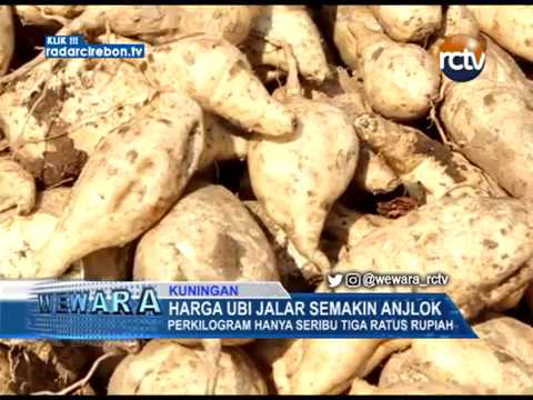 Harga Ubi Jalar Semakin Anjlok