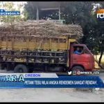 Petani Tebu Nilai Angka Rendemen Sangat Rendah