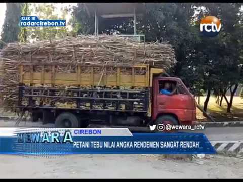 Petani Tebu Nilai Angka Rendemen Sangat Rendah