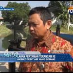 Lahan Pertanian Terancam Kekeringan