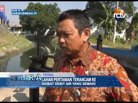 Lahan Pertanian Terancam Kekeringan