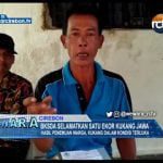 BKSDA Selamatkan Satu Ekor Kukang Jawa