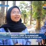 Berswafoto Dalam Air Di Woodland
