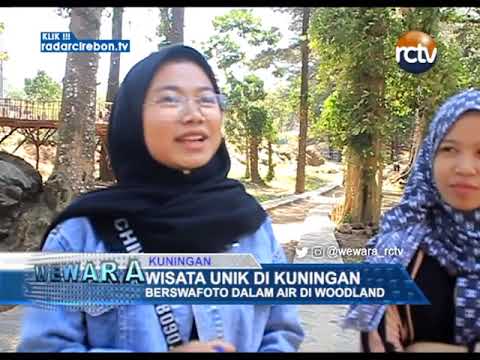 Berswafoto Dalam Air Di Woodland
