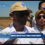 Kemenko Maritim Tinjau Tambak Garam Cirebon