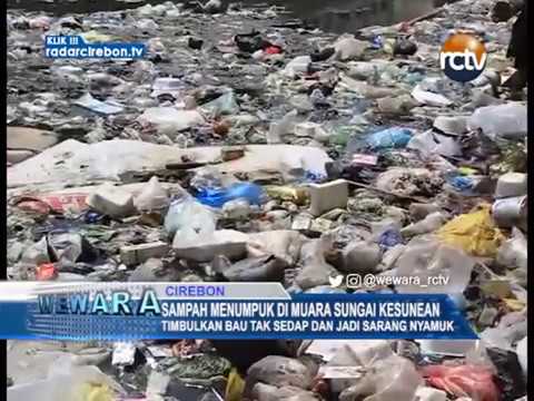 Sampah Menumpuk Di Muara Sungai Kesunean