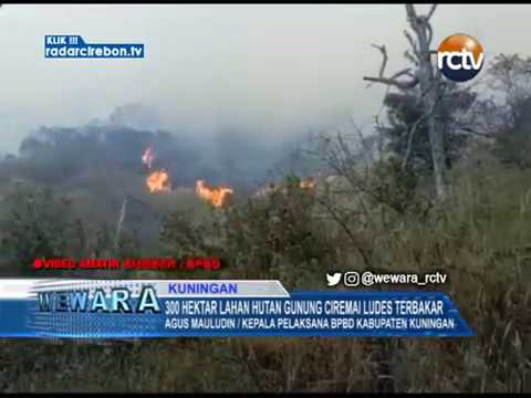 300 Hektar Lahan Hutan Gunung Ciremai Ludes Terbakar