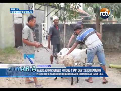 Masjid Agung Sumber Potong 1 Sapi Dan 12 Ekor Kambing