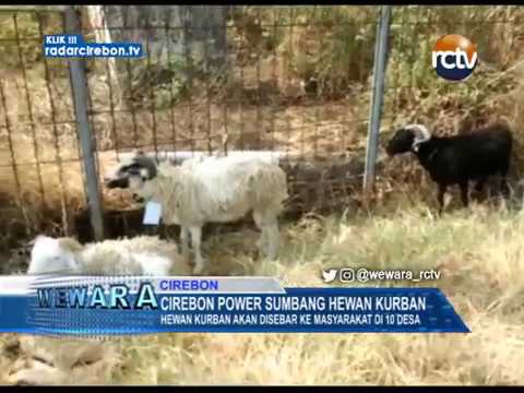 Cirebon Power Sumbang Hewan Kurban