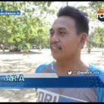 Sambut Panggung Budaya Di Hutan Kota Sumber