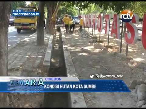 Kondisi Hutan Kota Sumber Semrawut