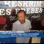 Pelaku Pembalakan Liar Ditangkap
