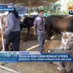 Penjualan Hewan Kurban Meningkat 20 Persen