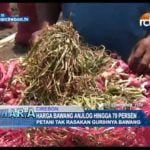 Harga Bawang Anjlog Hingga 70 Persen