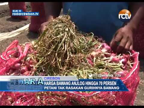 Harga Bawang Anjlog Hingga 70 Persen