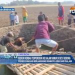 Seekor Kerbau Terperosok Ke Dalam Sumur Di Setu Sedong