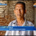 Permintaan Domba Meningkat Drastis