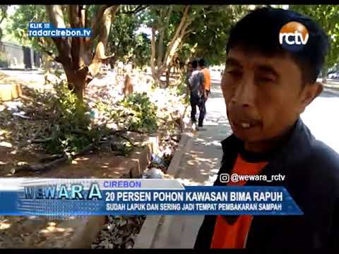 20 Persen Pohon Kawasan Bima Rapuh