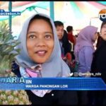 Tradisi Sedekah Bumi