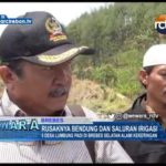 5 Desa Lumbung Padi Di Brebes Selatan Alami Kekeringan