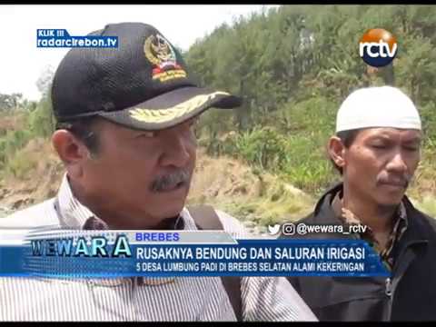 5 Desa Lumbung Padi Di Brebes Selatan Alami Kekeringan