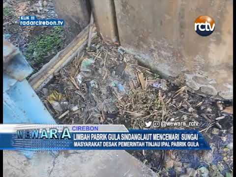 Limbah Pabrik Gula Sindanglaut Mencemari Sungai