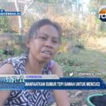 Manfaatkan Sumur Tepi Sawah Untuk Mencuci